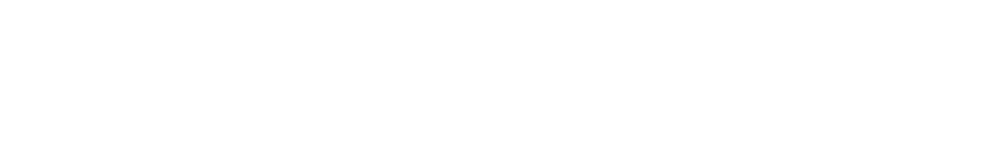RIMERIT Cloud Logo
