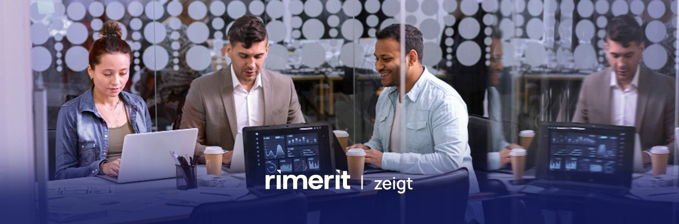rimerit_IT_Abhängigkeiten_im_Unternehmen